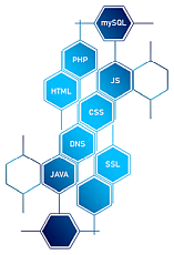 Webdesign Kompetenz